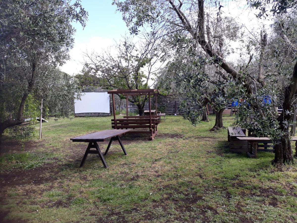 Bici Grill Decimo Miglio Aeroporto Ciampino Francigena Country House Eksteriør bilde